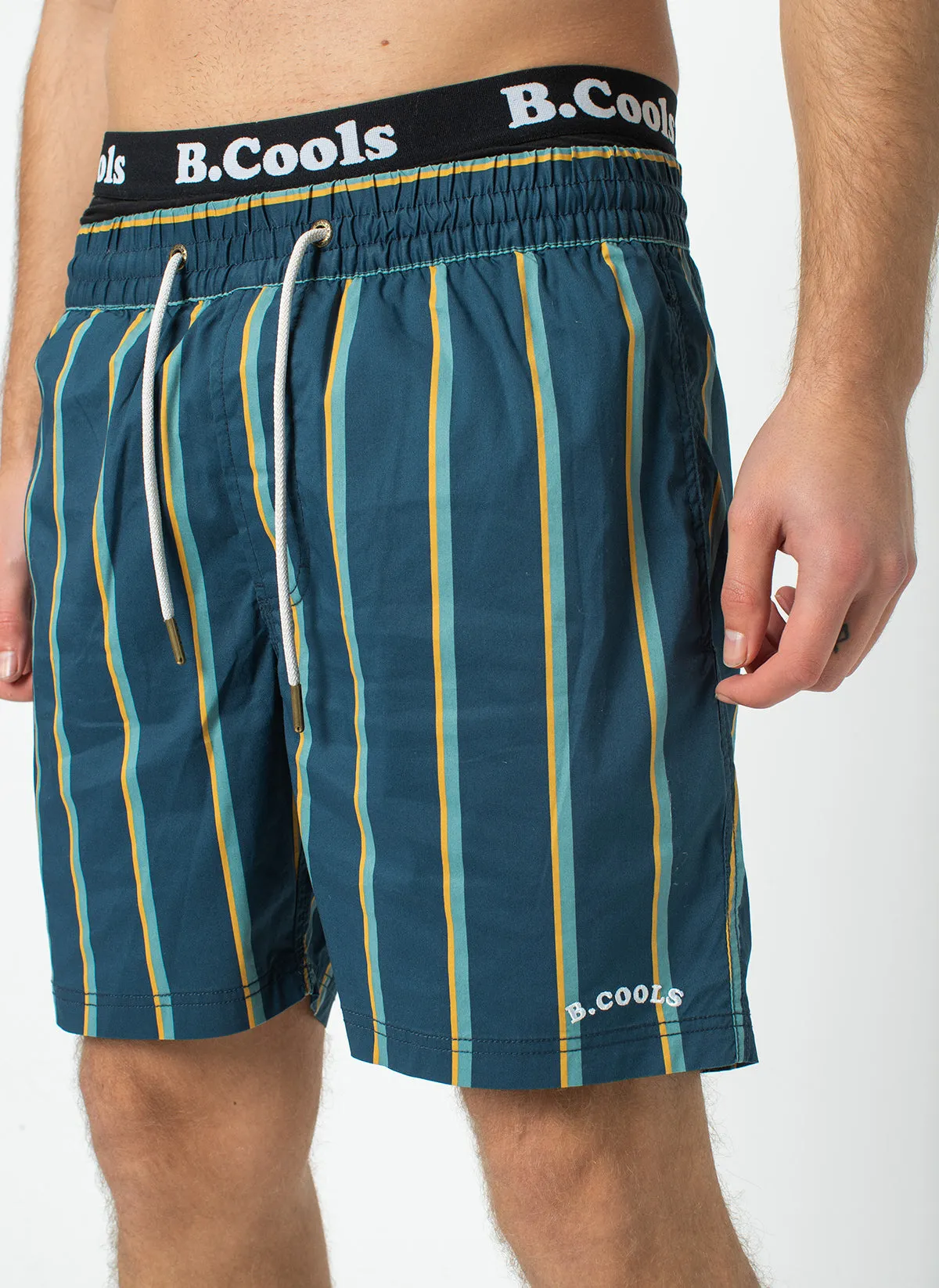 Amphibious 17" Swim Short Navy Stripe