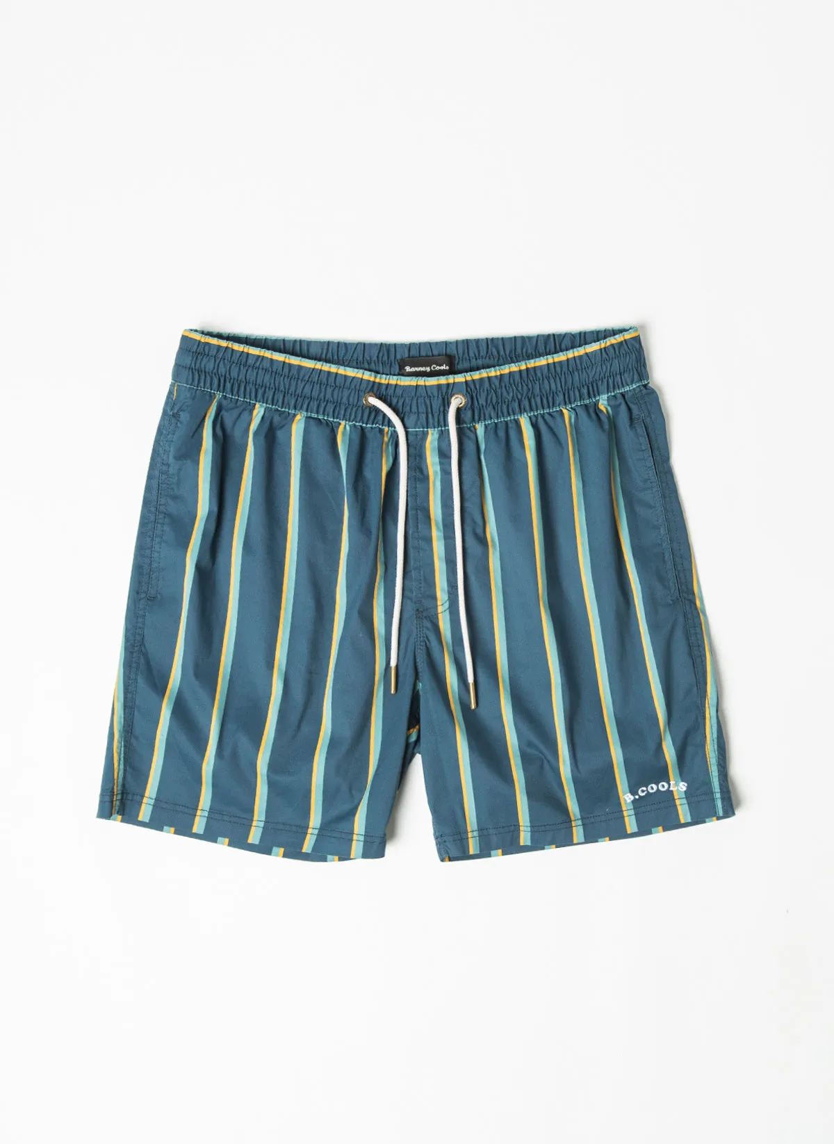 Amphibious 17" Swim Short Navy Stripe