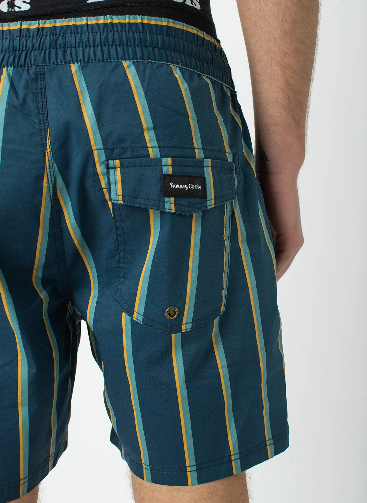 Amphibious 17" Swim Short Navy Stripe