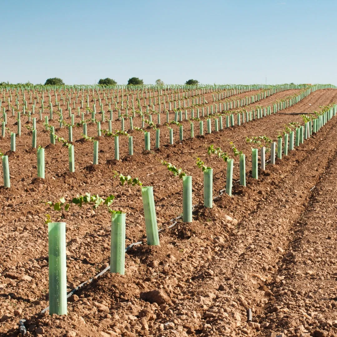 Bio-Spiral Tree Guards