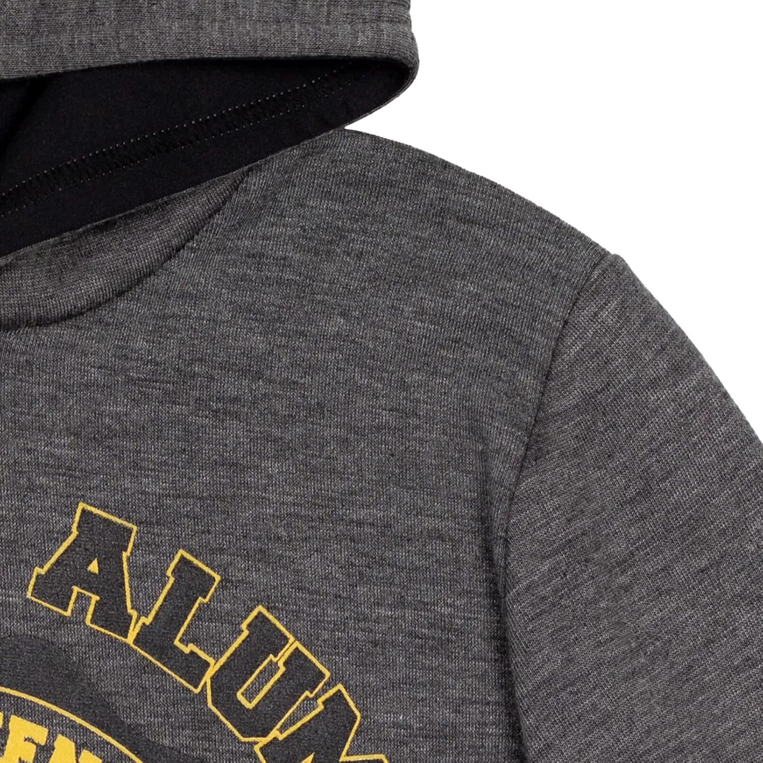 Harry Potter Gryffindor Slyttherin Ravenclaw Hufflepuff Fleece Pullover Hoodie Toddler to Big Kid
