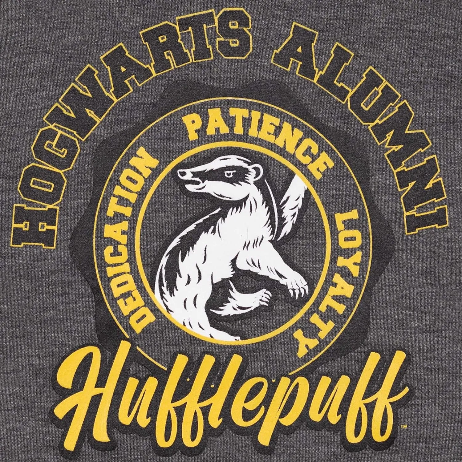 Harry Potter Gryffindor Slyttherin Ravenclaw Hufflepuff Fleece Pullover Hoodie Toddler to Big Kid