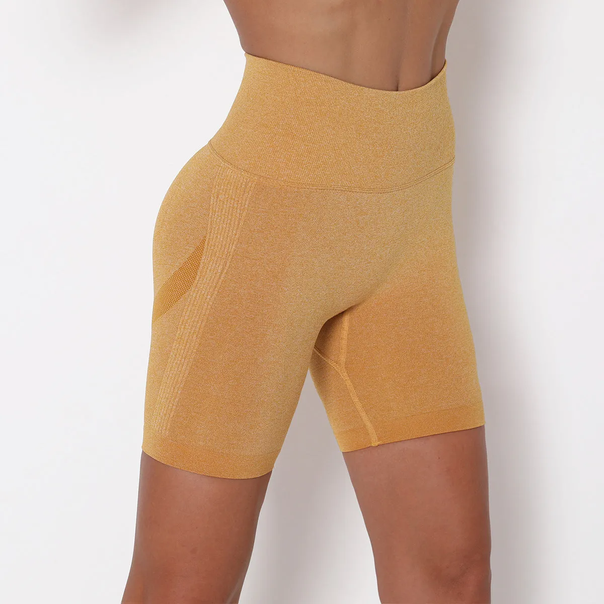 High Waist Gym Shorts