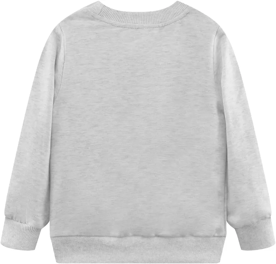 Popshion Boys Crewneck Sweatshirt Monster Truck Dinosaur Shirts Cotton Lightweight Pullover Sweater for Kids